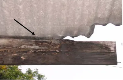 Gambar 5  Contoh kerusakan komponen lisplang akibat jamur pelapuk. 