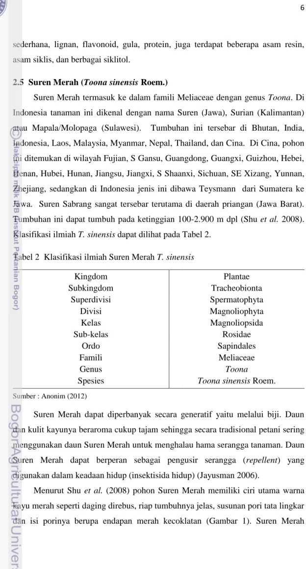 Tabel 2  Klasifikasi ilmiah Suren Merah T. sinensis 