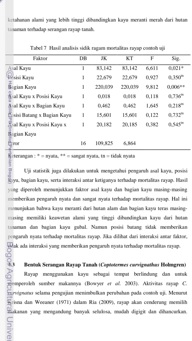 Tabel 7  Hasil analisis sidik ragam mortalitas rayap contoh uji 