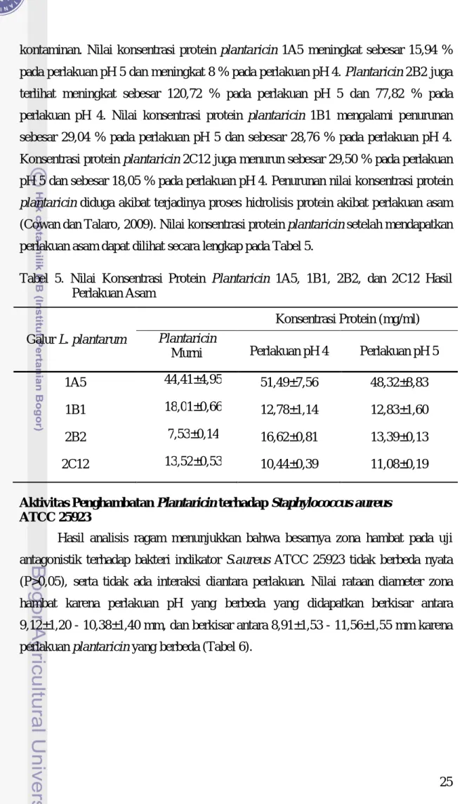 Tabel  5.  Nilai  Konsentrasi  Protein  Plantaricin  1A5,  1B1,  2B2,  dan  2C12  Hasil  Perlakuan Asam  