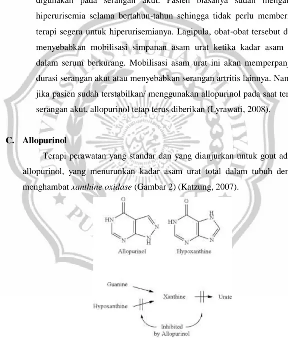 Gambar 2. Inhibisi Sintesis Asam Urat oleh Allopurinol 