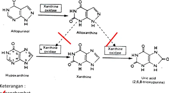 Gambar 2.2 Mekanisme inhibisi sintesis asam urat oleh allopurinol   (Katzung, et al., 2002) 