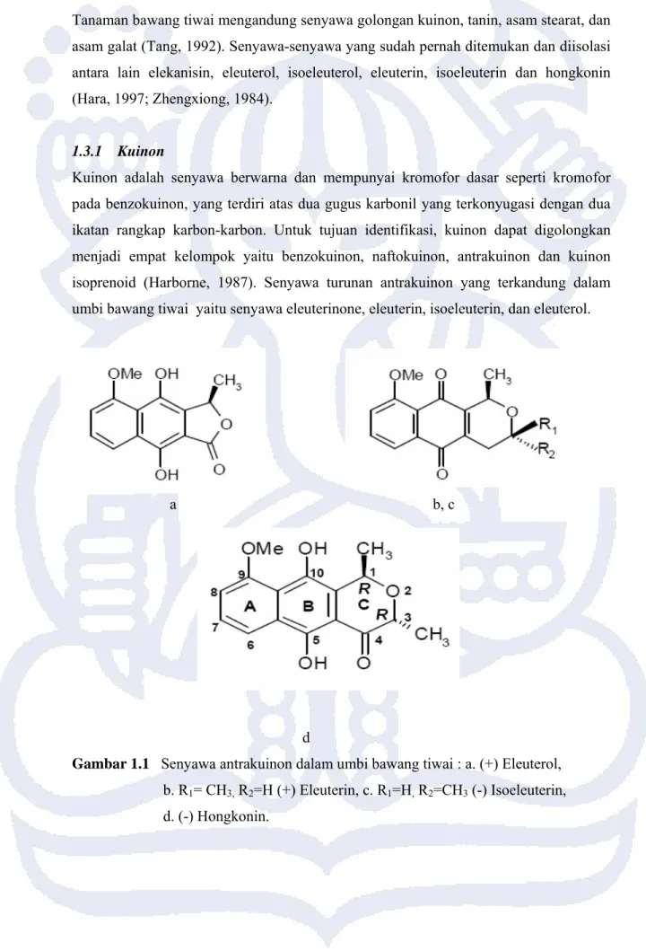 Gambar 1.1   Senyawa antrakuinon dalam umbi bawang tiwai : a. (+) Eleuterol,       b. R 1 = CH 3,  R 2 =H (+) Eleuterin, c