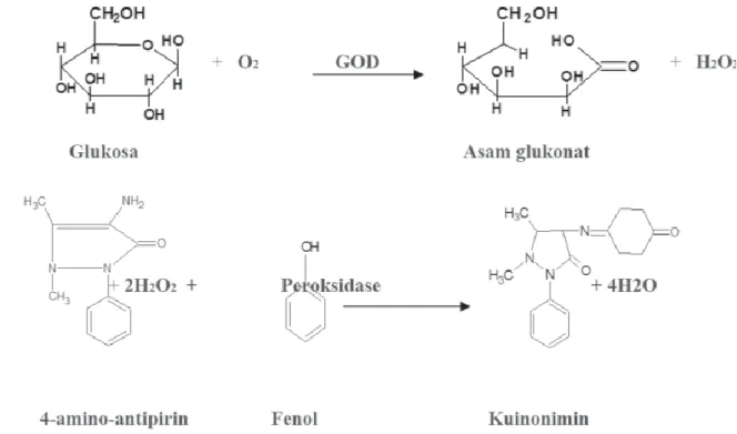 Gambar 1. Pembentukan Senyawa Berwarna Merah (Kuinonimin) dari Substansi Awal Glukosa dengan Reagen  GOD PAP (Chaplin, 1996, cit Rezeki, 2005)