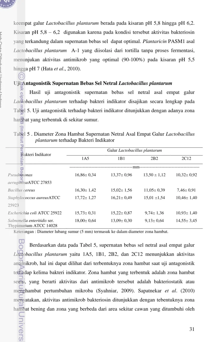 Tabel 5 . Diameter Zona Hambat Supernatan Netral Asal Empat Galur Lactobacillus  plantarum terhadap Bakteri Indikator 