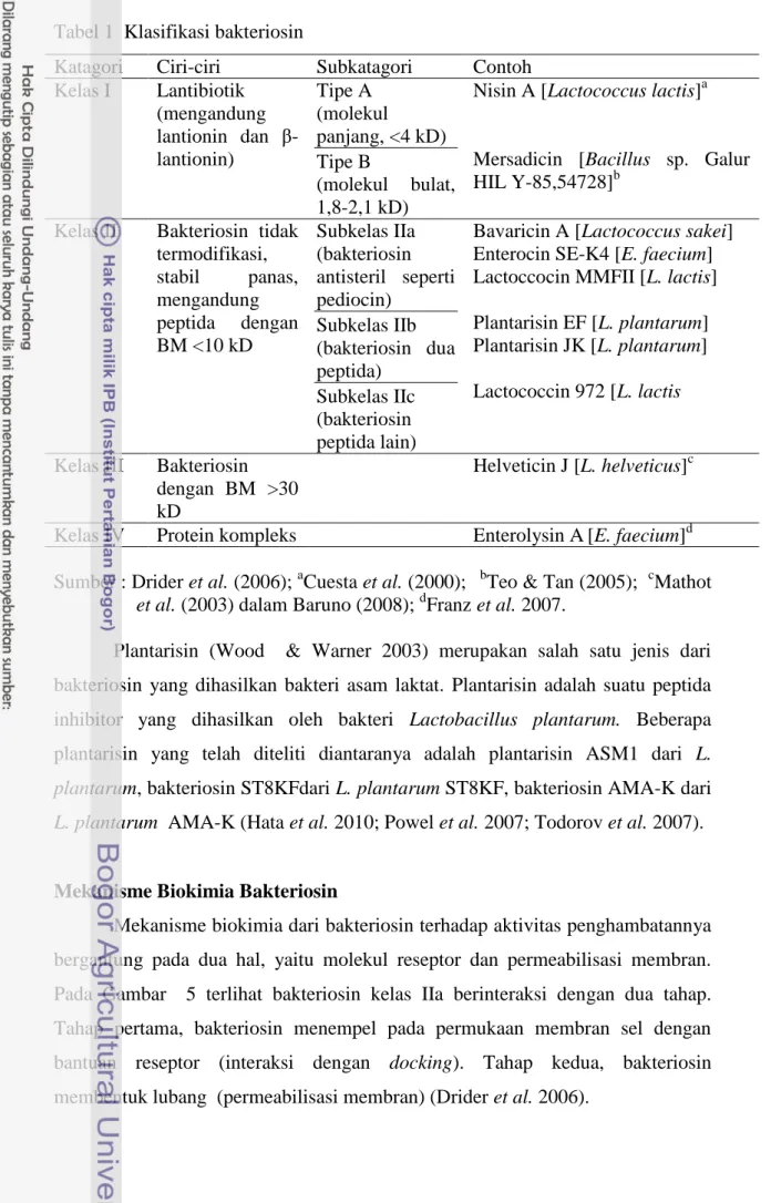 Tabel 1  Klasifikasi bakteriosin  