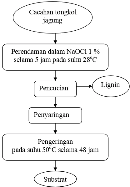 Gambar 6. Metode delignifikasi menggunkan NaOCl 1 % (Agustina, 2000) 