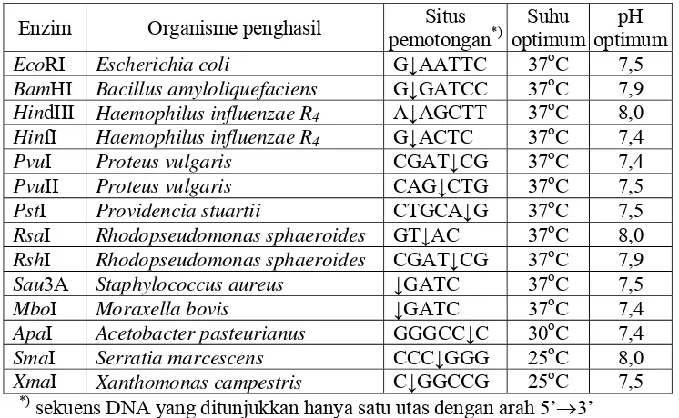Tabel 1. Endonuklease restriksi dari berbagai bakteri (Pingoud et al., 1993) 