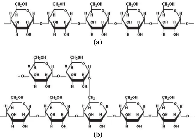 Gambar. 1. (a) struktur amilosa dan (b) struktur amilopektin. 