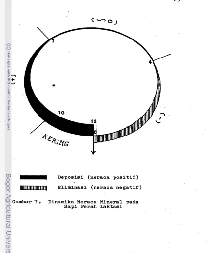 Gambar 7. Dinamika Neraca Mineral pada 