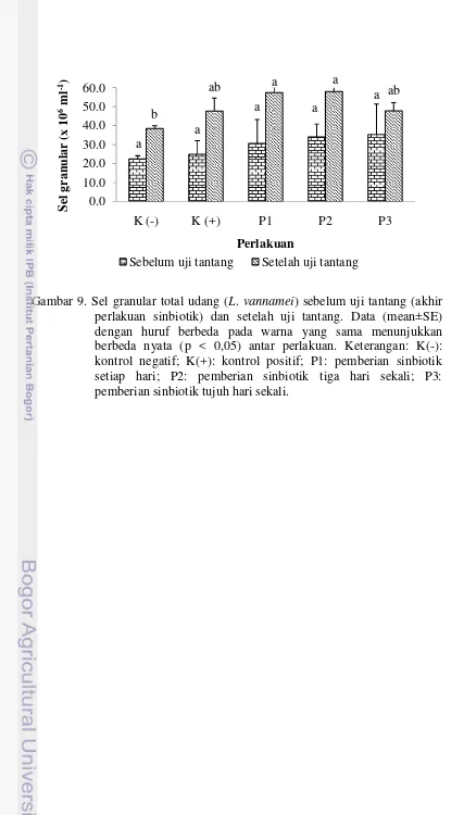 Gambar 9. Sel granular total udang (L. vannamei) sebelum uji tantang (akhir