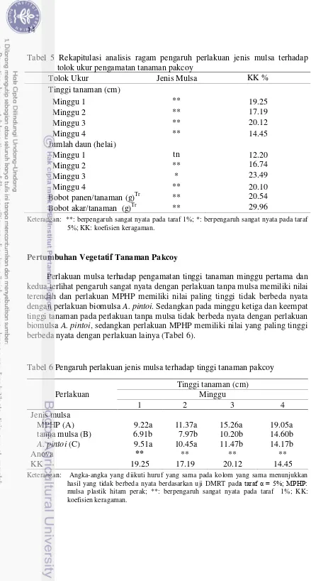 Tabel 5 Rekapitulasi analisis ragam pengaruh perlakuan jenis mulsa terhadap tolok ukur pengamatan tanaman pakcoy 