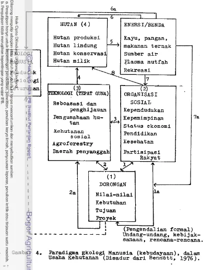 Gambar 4. Paradigma Ekologi Manusia (kebudayaan), dalam Usaha Kehutanan (Disadur d a r i  Benrie tt, 1976 ) 