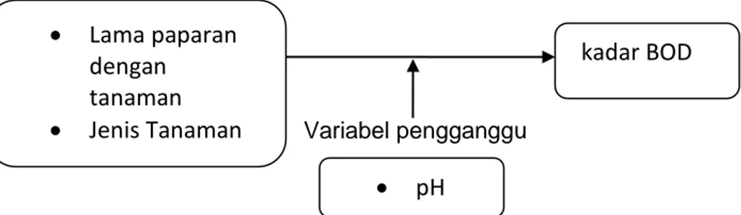 Gambar 3.1 Kerangka Konsep  B.  Jenis Penelitian 