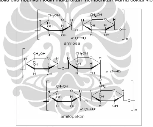 Gambar 1. Struktur amilosa dan amilopektin 