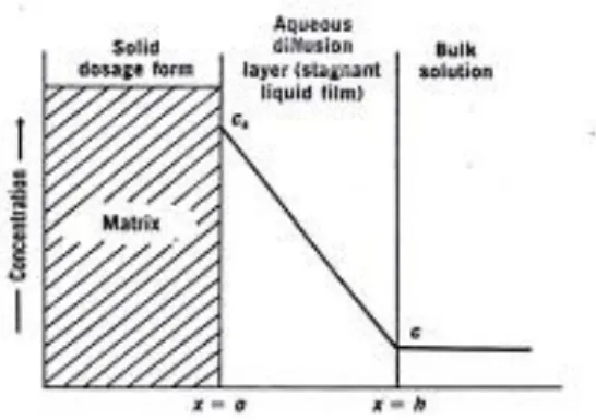 Gambar 1. Disolusi obat dari suatu padatan matriks, menunjukkan lapisan difusi yang  stagnan antara permukaan sediaan dan larutan bulk (Sinko, 2006) 