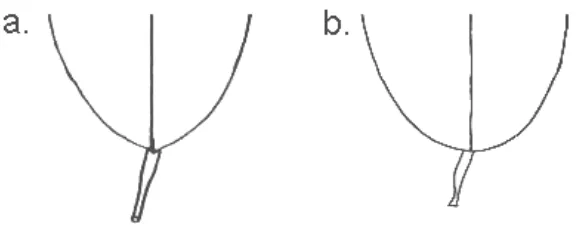 Gambar 1. Bagian terlebar daun, (a) terlebar di pangkal, (b) terlebar di tengah  dan (c) terlebar di ujung