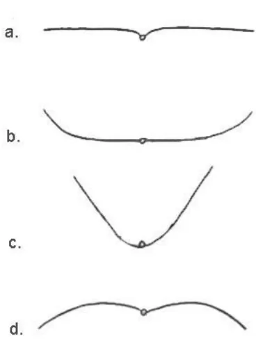 Gambar 3. Lipatan daun, (a) rata, (b) incurve bentuk huruf U,  (c) incurve bentuk huruf V, (d) recurve 