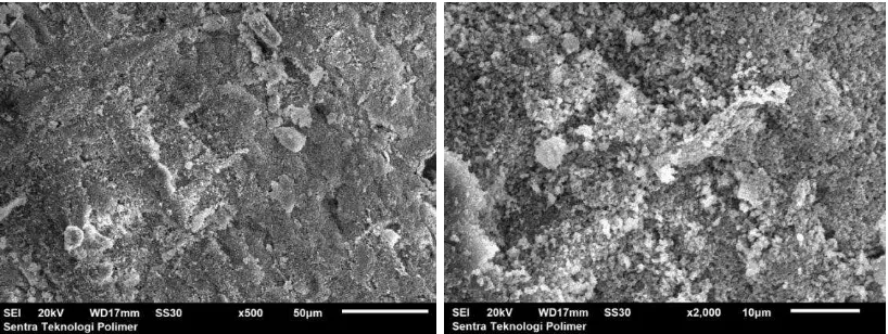 Gambar 7 Mikrograf SEM komposit HA/selulosa bakteri  perbesaran 500x dan 2000x 