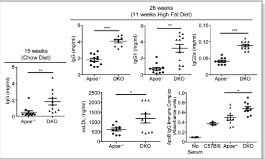 Figure 8. IgG and ApoB immune complexes are higher in DKO plasma. IgG levels in peripheral blood were compared at 15 (chow diet) and 26 weeks (15 weeks chow, 11 weeks high-fat diet).