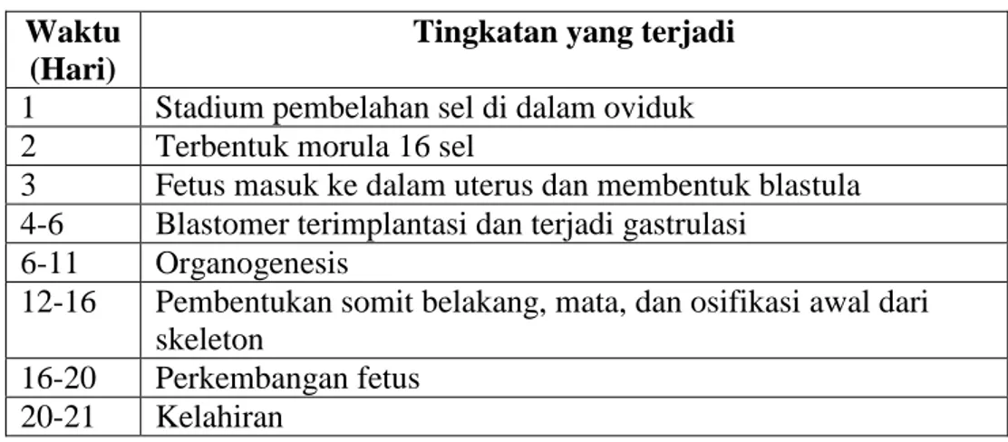Tabel 1. Tahap Perkembangan Fetus Pada Rodentia  Waktu 