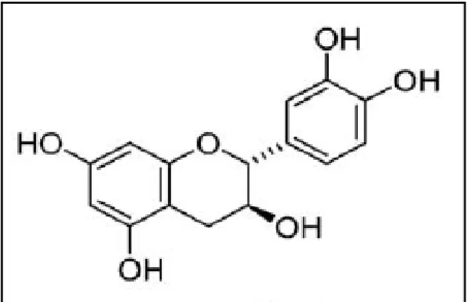Gambar 2.1 Struktur kimia (+)-katekin (Taniguchi et al., 2007) 