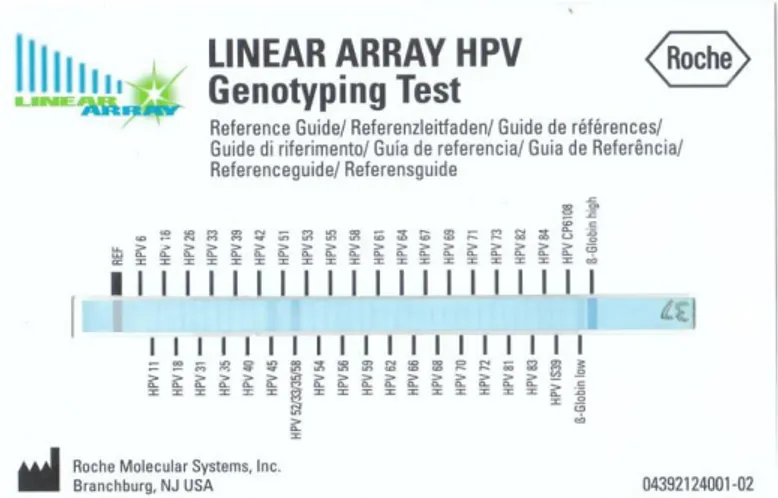 Gambar 4. Desain primer spesifik gen L1 HPV 45 (set 1)  