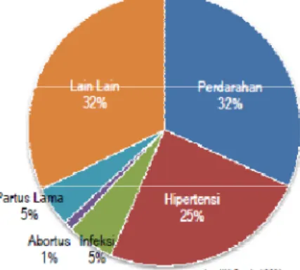 Gambar  1.  Distribusi  penyebab  kematian  ibu  melahirkan  berdasarkan  laporan KIA Provinsi 2011