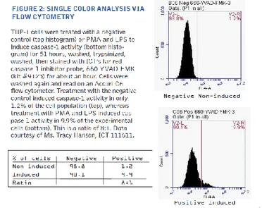 Gambar 6. Contoh hasil Flow cytometry FLICA 660 