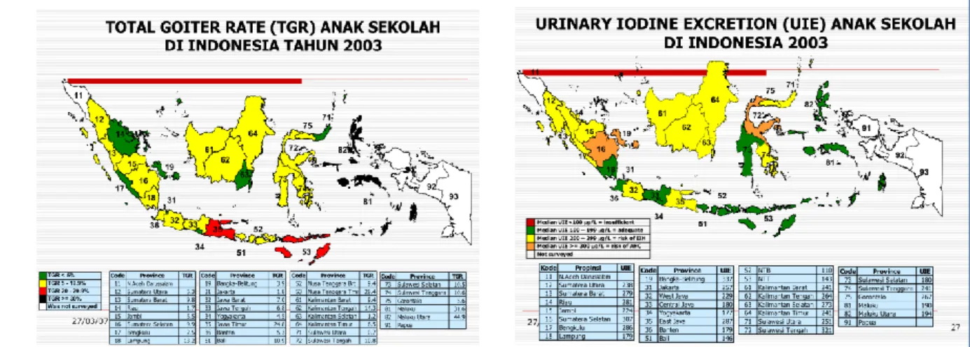 Gambar 3. TGR dan Urinary Iodine (UI) anak usia sekolah di Indonesia  tahun 2003  23