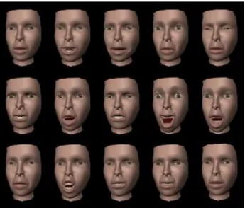 Gambar 3. Berbagai ekspresi wajah dengan  kombinasi gerakan komponen wajah 