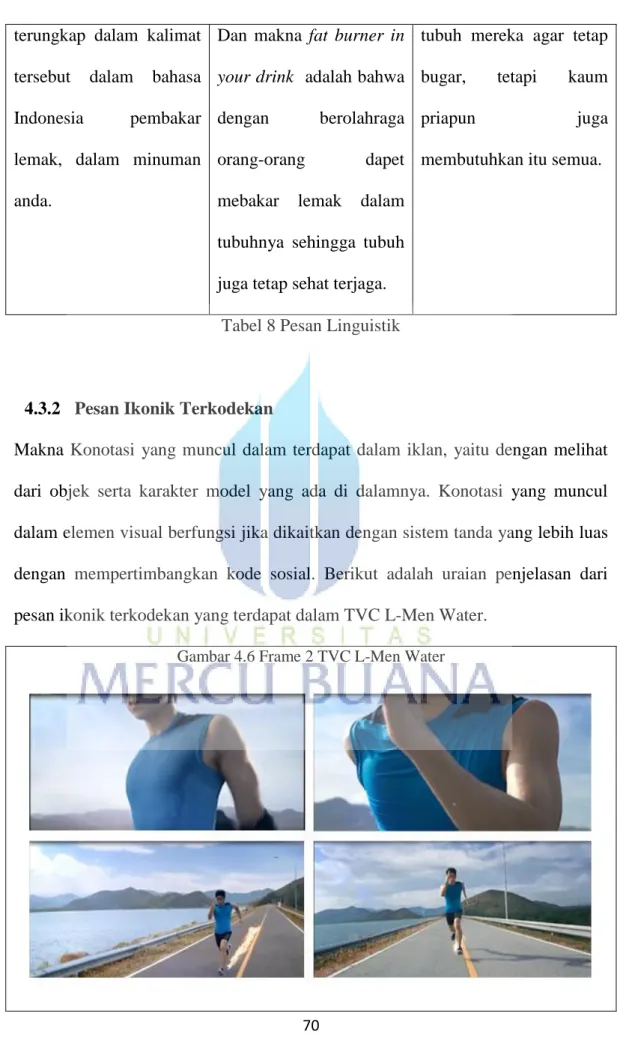 Tabel 8 Pesan Linguistik 