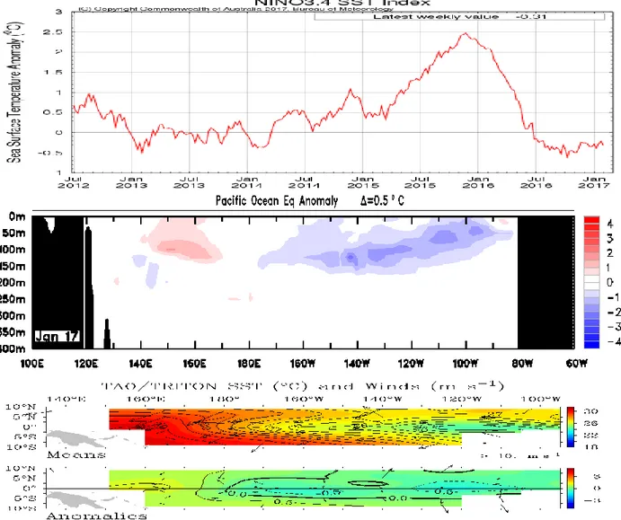 Gambar 1. Kondisi anomali suhu muka laut dan suhu bawah laut Pasifik, serta angin pasat di  sekitar Pasifik Ekuatorial sampai tanggal 01 Februari 2017 (Sumber : BoM) 