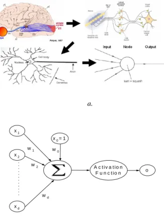 Gambar 3 a. Sel otak manusia. b. Struktur Jaringan syaraf  tiruan [Norgaard, 2000]