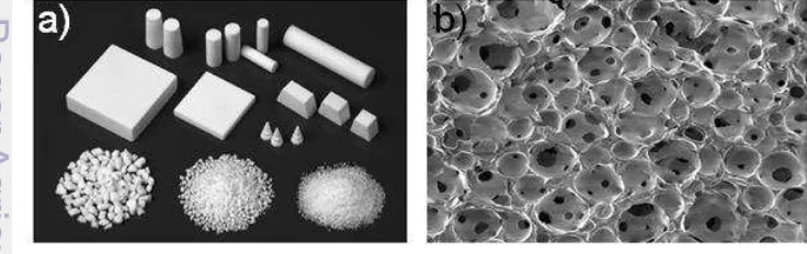 Gambar 3 (a) makroskopis dan (b) mikrostruktur dari keramik  porous tricalcium 