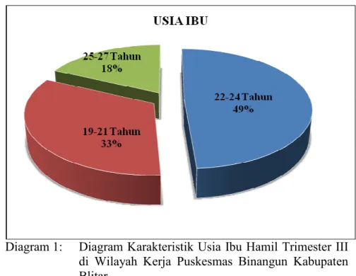 Diagram 1:   Diagram Karakteristik Usia Ibu Hamil Trimester III  di  Wilayah  Kerja  Puskesmas  Binangun  Kabupaten  Blitar
