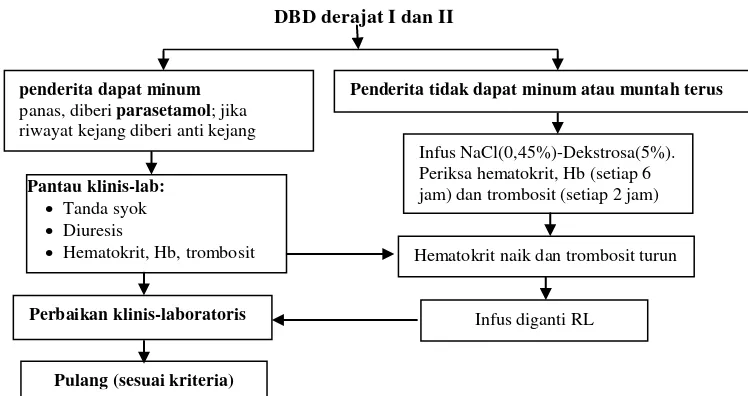 Gambar 1. Algoritma tatalaksana DBD derajat I dan II ( dengan perdarahan ringan) (Soedarto, 2012) 