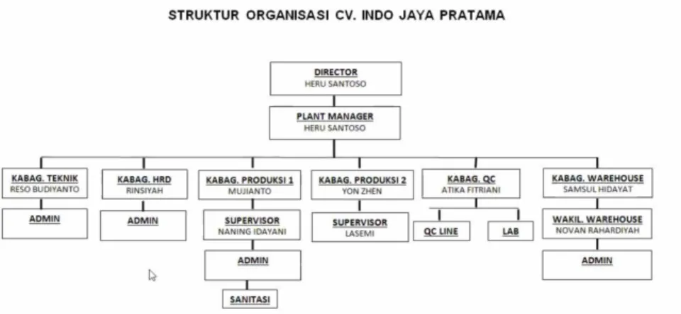 Gambar 3.1 Struktur Organisasi di CV Indo Jaya Pratama