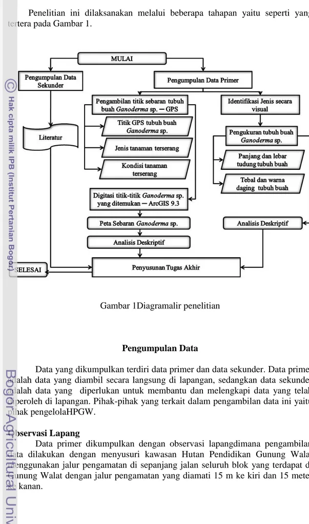 Gambar 1Diagramalir penelitian 