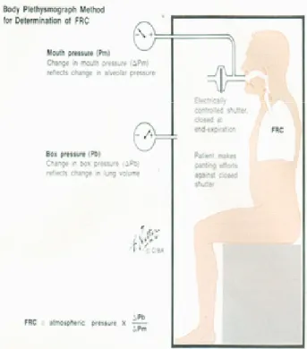 Gambar 7.   Flow measuring spirometer 12