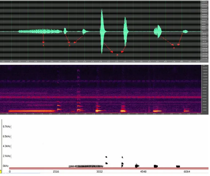 Gambar 2. Oscillogram dan audiospectrogram dari vokalisasi empat tipe suara P. aspera asal daerah Curug  Nangka, lereng Gunung Salak, Jawa Barat