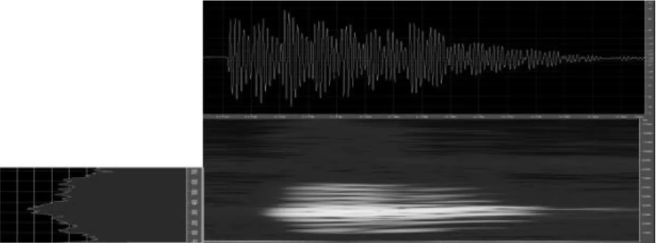 Gambar 5. Oscillograms, audiospectrogram dan energi frekuensi satu nada pulsa Hylarana nicobariensis asal  Batukaru, Bali  