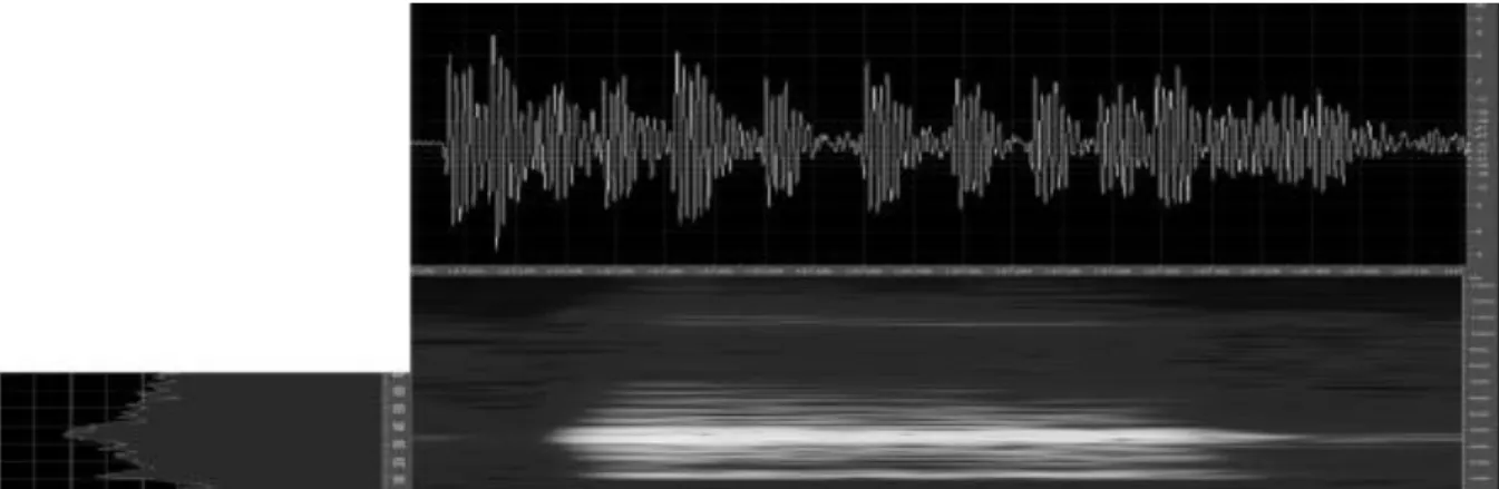 Gambar 7. Oscillograms, audiospectrogram dan energi frekuensi satu nada pulsa Hylarana nicobariensis asal  Limau Manis, Sumatra Barat