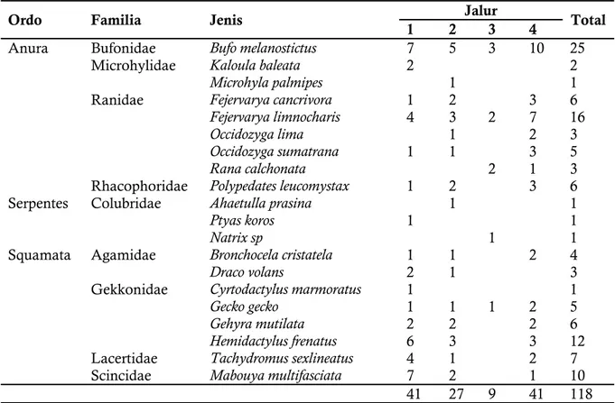 Tabel 4. Spesies Herpetofauna yang Ditemukan Di Masing-Masing Jalur Pengamatan 