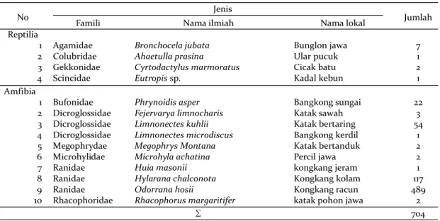 Table 1. Species composition of herpetofauna in the upper river in the slope of Mount Sindoro