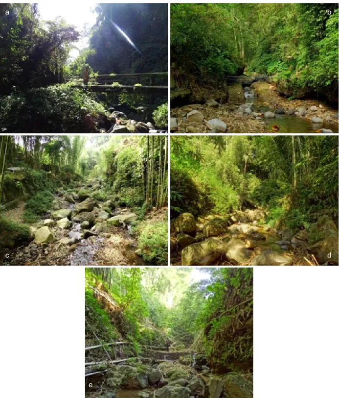 Figure 2. Condition of rivers which located at the study site, (a). Progo River, (b) Deres River, (c) Siklitih River, (d) Bedali/