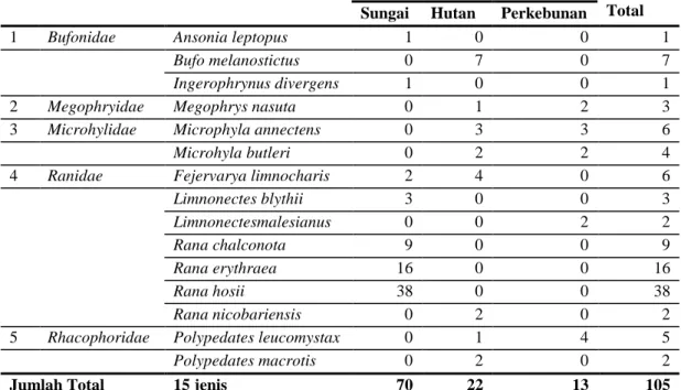 Tabel  1.  Jenis-jenis  Amfibi  (Ordo  Anura)  yang  Berhasil  ditangkap  dan  diidentifikasi Pada Berbagai Tipe Habitat di Youth Camp