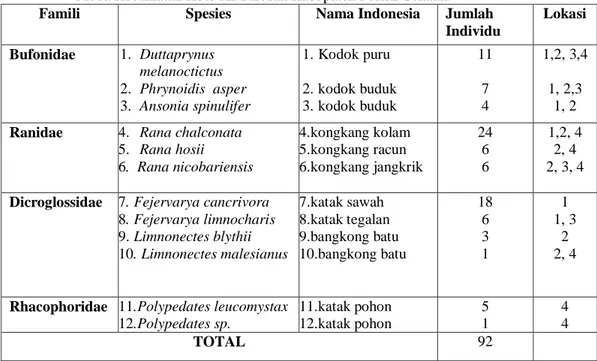 Tabel  1.  Spesies  Amphibia  yang  ditemukan  di  Kebun  Gambir  Masyarakat  Kenagarian  Siguntur  Muda Kecamatan Koto XI Tarusan Kabupaten Pesisir Selatan
