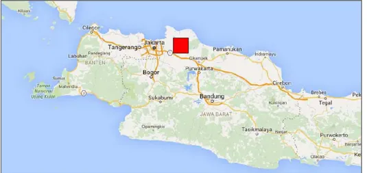 Gambar 2. Lokasi penelitian kepadatan populasi kodok Fejervarya cancrivora di daerah Kerawang  Timur (kotak merah)
