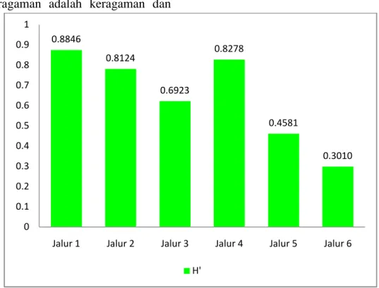 Gambar 1.Grafik Indeks Keanekaragaman Berdasarkan Jalur Pengamatan (Grafic Index of Diversity Based on Transect)